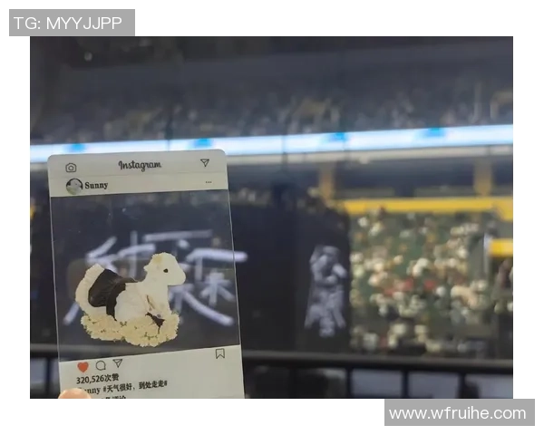 北京排球队的拼搏之路：从默默无闻到世界杯舞台的辉煌历程