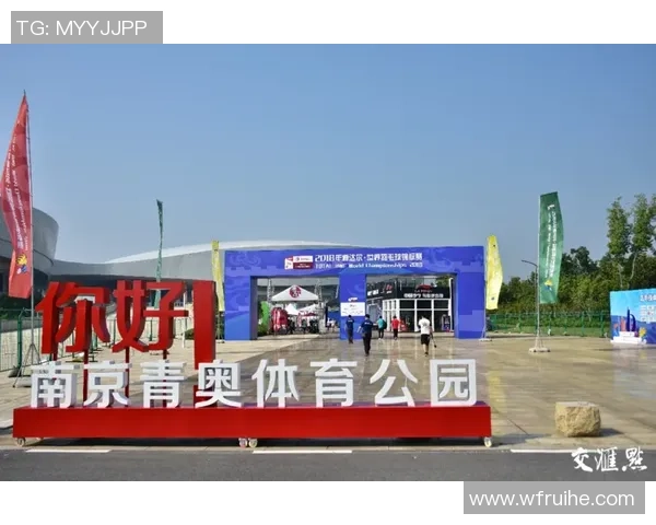 深入分析南京羽毛球队的运营策略与发展模式探讨